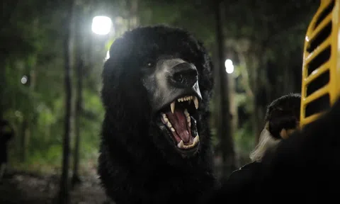 “Gấu Mật” trong phim điện ảnh sinh tồn quái thú của Việt Nam: Cuộc đánh đổi đắt đỏ tiêu tốn 250 triệu