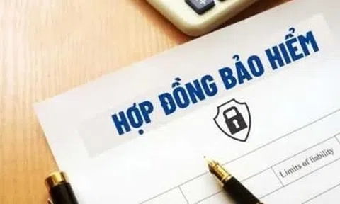 Chính sách mới tháng 2: Phạt nặng vi phạm bảo hiểm, từ chối nhận chất thải không phân loại