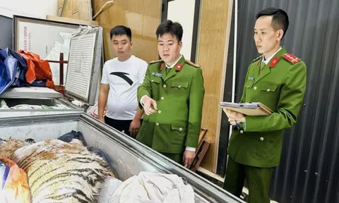 Chi gần 2 tỷ đồng mua hổ quý hiếm qua Zalo về nấu cao, 2 người đàn ông bị bắt