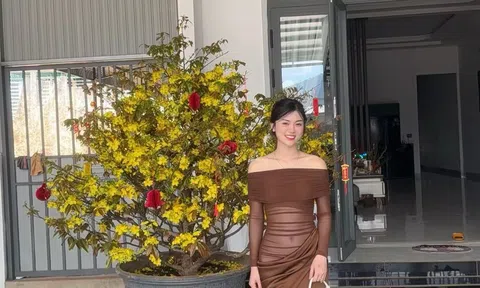 Chủ nhân diện chiếc đầm xuyên thấu đi chúc Tết nói gì sau “bão” chỉ trích?