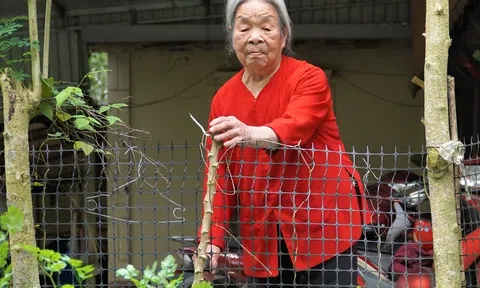 Sống hơn một thế kỷ vẫn minh mẫn: Thói quen giản dị của hai cụ già khiến nhiều người bất ngờ