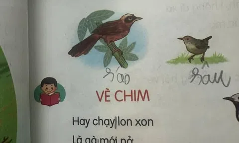 Phụ huynh “phốt” từ lạ trong sách Tiếng Việt, viện dẫn cả ChatGPT, ai ngờ tra từ điển xong thì “đứng hình”