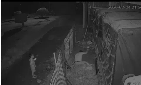 Điều tra nghi án chồng đâm vợ liên tiếp trước mặt con nhỏ