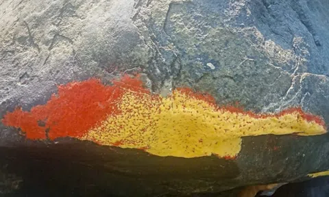 Tảng đá giữa sông ở Đà Nẵng bất ngờ “nở hoa” đỏ rực, chính quyền lên tiếng