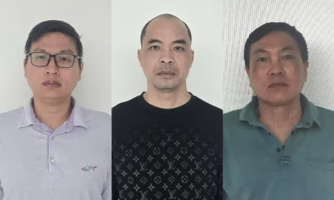 3 giám đốc công ty cùng vướng vòng lao lý, vì sao?