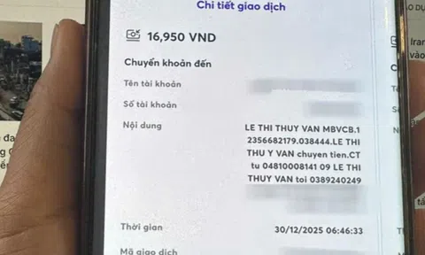 Dùng mánh khóe chuyển 9 triệu thành 9.000 đồng chiếm đoạt tài sản: Lê Thị Thúy Vân bị khởi tố