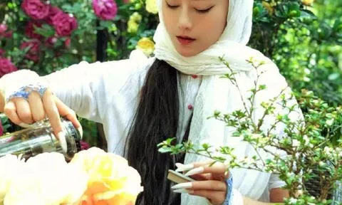 "Chim công làng múa" Dương Lệ Bình, tuổi 70 vì sao chưa chịu già?