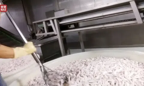 Sự thật rùng mình sau chân gà “trắng nõn”: Công nhân cũng không dám ăn