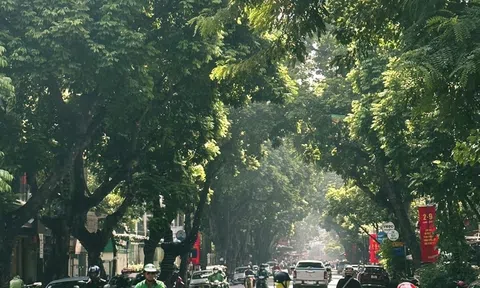 Thời tiết hôm nay 17-3: Nắng nóng xuất hiện ở Đông Nam Bộ, miền Bắc sương mù và trời lạnh, cụ thể ra sao?