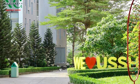 Toàn cảnh kế hoạch sáp nhập trường học ở TP.HCM, chi tiết ra sao?