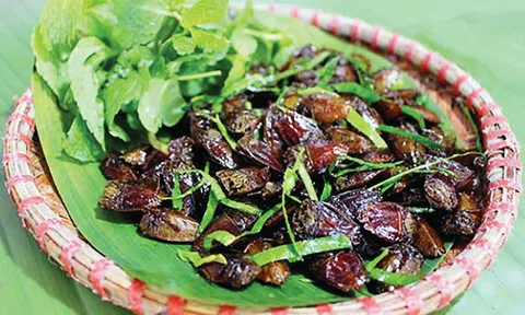 Nghe mùi thôi cũng đủ khiếp sợ, nhưng người Tây Bắc lại xem món này là tinh hoa