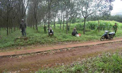 Thi thể dưới gốc cao su và hành trình 13 năm truy tìm kẻ thủ ác