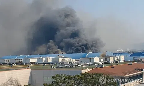 Cháy lớn tại Daejeon: 50 người bị thương, nhiều người mắc kẹt, lực lượng cứu hỏa toàn quốc được huy động