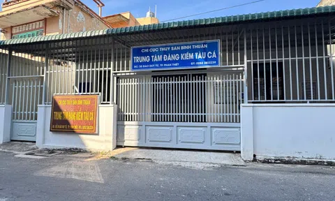 Bắt giám đốc Trần Nguyên Vũ cùng 2 đồng phạm, nguyên nhân vì sao?