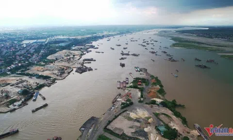 Loài cá từng dâng vua nay hiếm có khó tìm, nhìn giá bán khiến nhiều người choáng