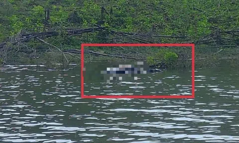 Thi thể bí ẩn nổi giữa hồ Đá Trải, Công an Gia Lai phong tỏa hiện trường điều tra