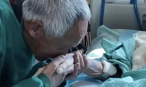 Cảm động cụ ông 82 tuổi suốt 105 ngày bền bỉ di chuyển 12 tiếng mỗi ngày chỉ để nắm tay vợ 30 phút