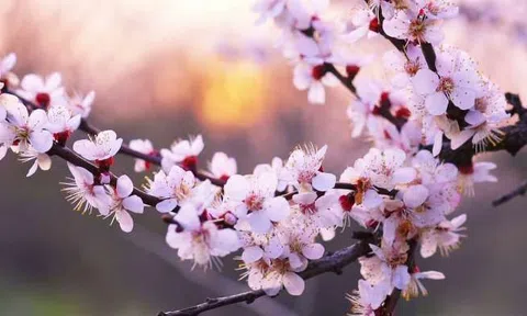 Đời này có một thứ bạn nhất định phải đầu tư: Nếu không có nó, tất cả chỉ còn là di sản