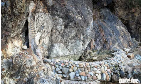 Vụ Juky San ngâm mình trong Giếng Tiên: Gia Lai vào cuộc xử lý thông tin sai sự thật