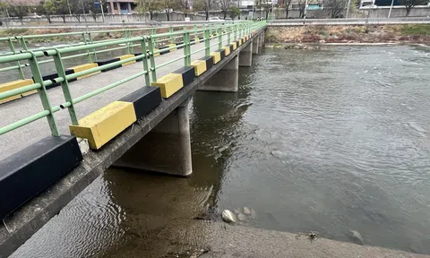 Phát hiện thi thể phụ nữ 50 tuổi bị nhét trong vali:  Bắt giữ con gái và con rể nạn nhân