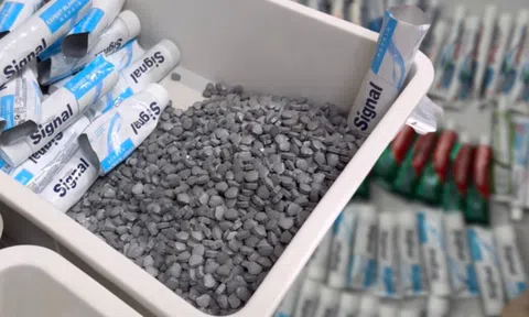 Vụ chuyên án VN10: Làm sao 10 kg ma túy "lọt"’ vào vali tiếp viên?