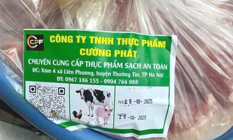 Trường tiêu thụ thịt lợn của Công ty Cường Phát: Học sinh tiểu học Hà Nội từng đau bụng, nôn mửa