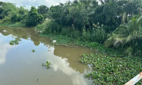 Rùng mình cá sấu dài 1.5m bơi sát khu dân cư ở Tây Ninh rồi biến mất, chính quyền phát thông báo khẩn