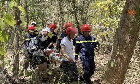 Kịch tính trên núi Dinh: Du khách nước ngoài gãy chân được cứu sống phút chót