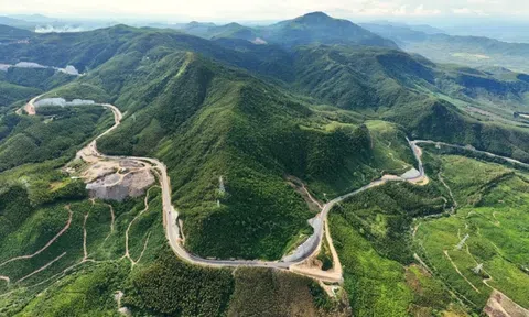 Sinh vật mới được phát hiện giữa dãy Trường Sơn, chưa từng thấy trên thế giới