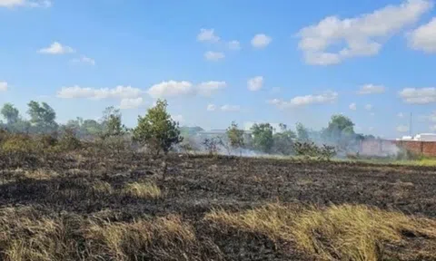 Đốt rơm ngoài ruộng, người phụ nữ tử vong thương tâm giữa đám khói lửa