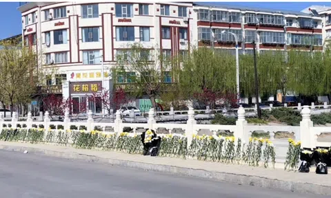 Lao xuống kênh cứu người, 4 người không qua khỏi sau 7 ngày tìm kiếm