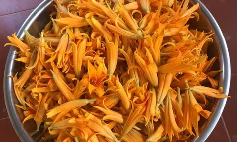 Cuối xuân mệt mỏi, khó ngủ: Loại hoa quen thuộc này có thể giúp bạn “hồi sức”