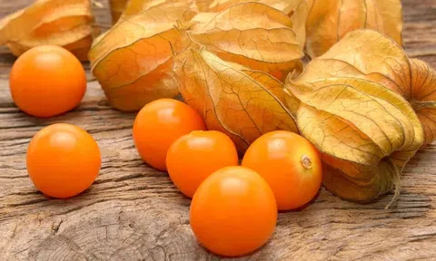 Trồng rau không cần “cực”: 4 loại cây cho thu hoạch dài ngày