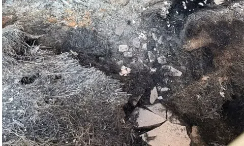 Vụ 4 người trong một gia đình tử vong ở xã Cát Tiến:  Công an xác định không có dấu hiệu tội phạm