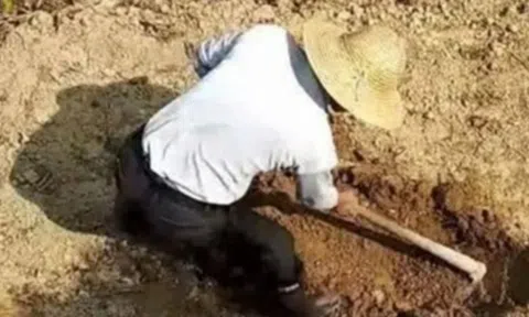 Đào nhầm tượng lạ khi đang xây chuồng lợn, cứ ban đêm phát tiếng hú khiến cả gia đình mất ngủ