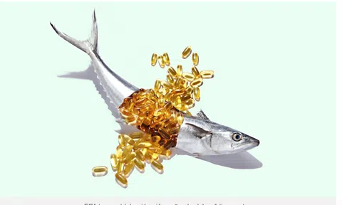 Bí mật trong những loại cá béo khiến bác sĩ Mỹ đặc biệt khuyên dùng, Việt Nam có nhiều