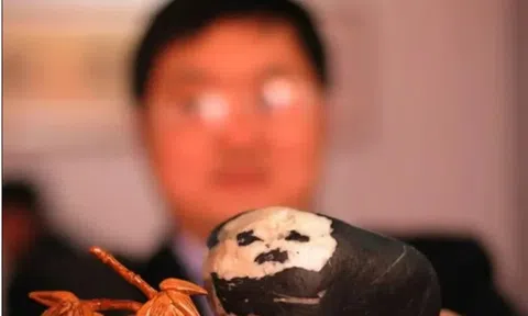 Đi biển nhặt được viên đá lạ, người đàn ông sốc khi biết giá hơn 500 tỷ đồng