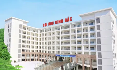 Bắt Phó Chủ tịch hội đồng trường Đại học Kinh Bắc, hé lộ sai phạm gây sốc