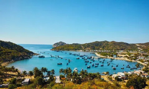 Dậy từ 5 giờ sáng, vượt đường biển gồ ghề để chạm vào “hồ bơi tự nhiên” đẹp như phim giữa biển Ninh Thuận