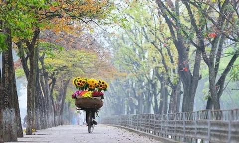 Tỷ phú Jack Ma từng trải nghiệm, thành phố này của Việt Nam có gì đặc biệt?