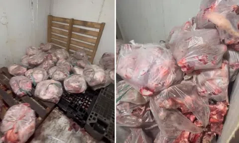 Hơn nửa tấn thịt heo bốc mùi bị phát hiện tại cơ sở giết mổ trái phép ở Đồng Nai