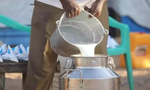 Đột kích cơ sở nghi sản xuất sữa giả pha hóa chất quy mô lớn, thu giữ 25.000 lít nguyên liệu