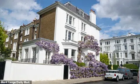 Biệt thự triệu đô ở Anh “khóc thét” vì hoa tử đằng