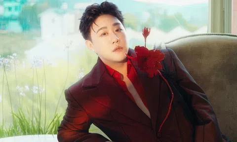 Vụ Trung Quân Idol bị tố hành hung: Luật sư nói gì về khả năng xử lý?