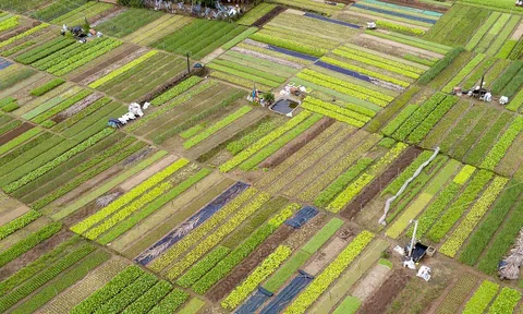 Cách phố cổ Hội An 3km, ngôi làng này vừa được UNESCO gọi tên “tốt nhất thế giới”, vé chỉ 35.000 đồng