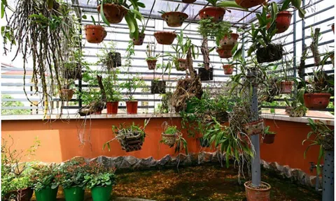 Đặt đúng chỗ một loại hoa này, ngôi nhà bỗng trở nên tinh tế lạ thường