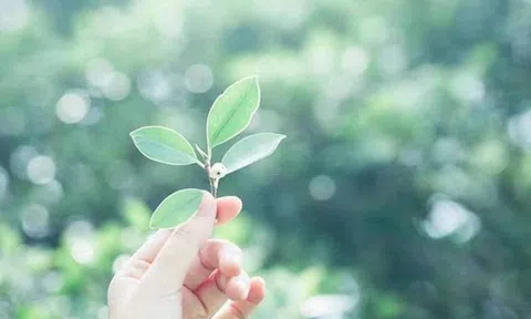 Những điều nên học cách buông bỏ ở tuổi trung niên
