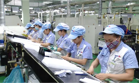Lao động nữ mang thai có được quyền tạm hoãn hợp đồng lao động hay đơn phương chấm dứt hợp đồng lao động không?