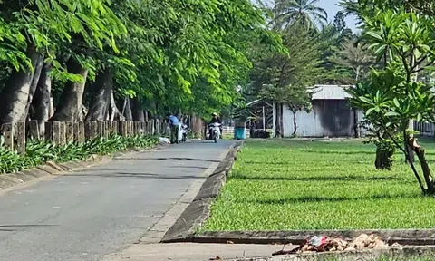 Người đàn ông sống lang thang tử vong trong khuôn viên cây xanh, cơ thể có dấu hiệu bất thường: Cảnh sát phong tỏa hiện trường