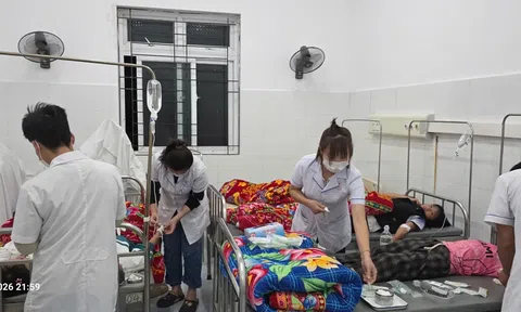 Hơn 200 học sinh ở Lai Châu nghi bị ngộ độc sau khi ăn quả lạ